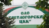 Изображение электронная ярмарка вакансий светлогорс…