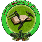 Логотип Костюковичский лесхоз