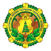 Логотип Толочинский лесхоз