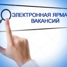 Изображение электронная ярмарка вакансий быховского района, в том числе для граждан с инвалидностью