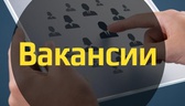 Изображение *электронная ярмарка вакансий организац…