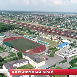 Изображение электронная ярмарка вакансий лунинецкого района