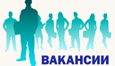 Изображение электронная ярмарка вакансий докшицкого…