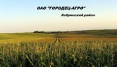 Изображение электронная ярмарка вакансий оао «город…
