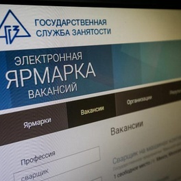Изображение электронная ярмарка вакансий вороновского района