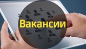 Изображение электронная ярмарка вакансий гомельског…