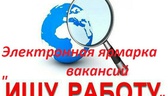 Изображение электронная ярмарка вакансий докшицкого…