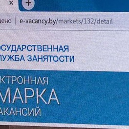 Изображение электронная ярмарка вакансий вороновского района