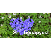 Логотип Каменский психоневрологический дом-интернат для престарелых и инвалидов