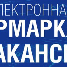 Изображение электронная ярмарка вакансий верхнедвинского района