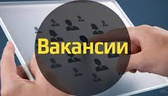Изображение электронная ярмарка вакансий молодечнен…