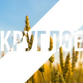 Изображение электронная ярмарка вакансий для незанятого населения круглянского района, в том числе для социально-незащищенных категорий граждан, осуществляющих уход за ребенком в возрасте до 3-х лет, длительно не работающих граждан, страдающих зависимостью от пав.