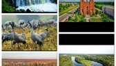 Изображение электронная ярмарка вакансий миорского …
